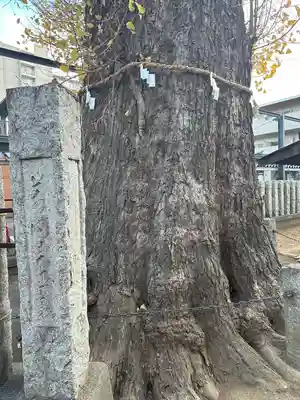 出世稲荷神社(埼玉県)