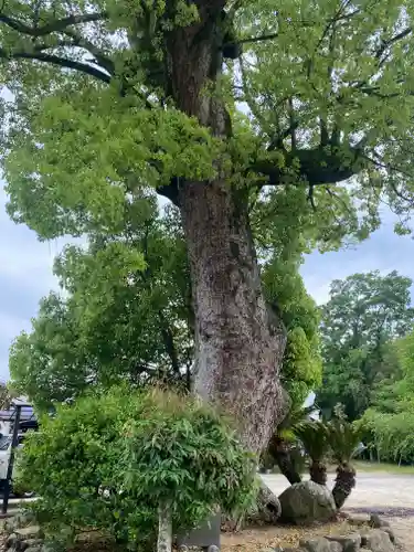 宝瓶院(大阪府)