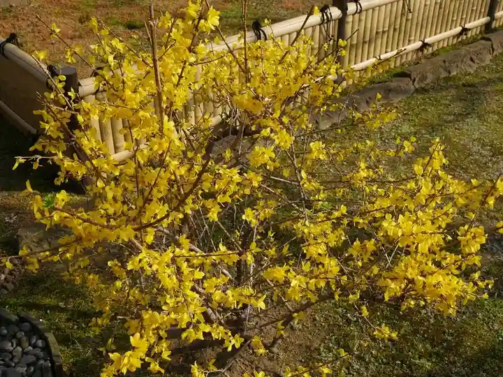 輪王寺両大師堂(寛永寺輪王殿)の自然