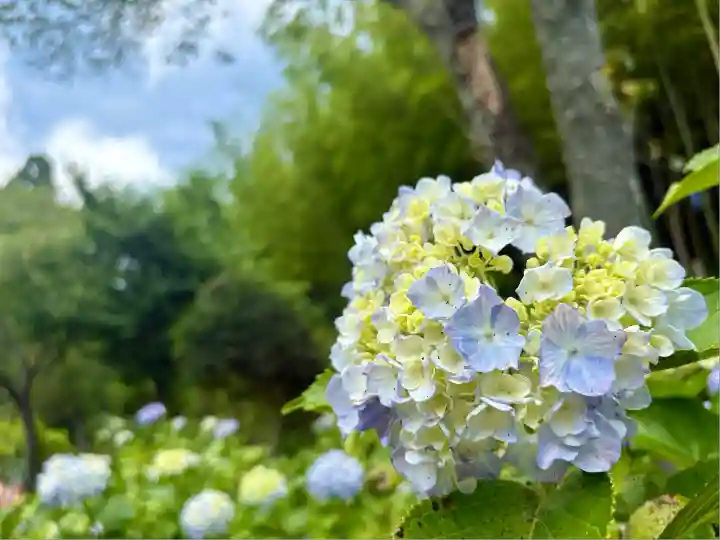 極楽寺(静岡県)