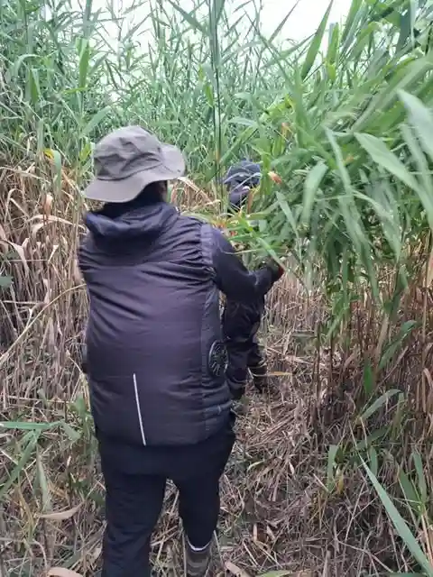 手力雄神社(岐阜県)