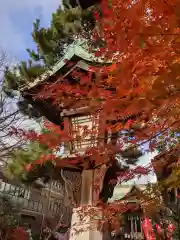 桜神宮の建物その他