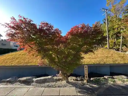 伊勢の国 四天王寺(三重県)