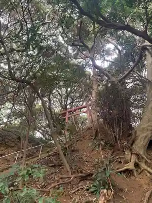 琴毘羅大神(千葉県)