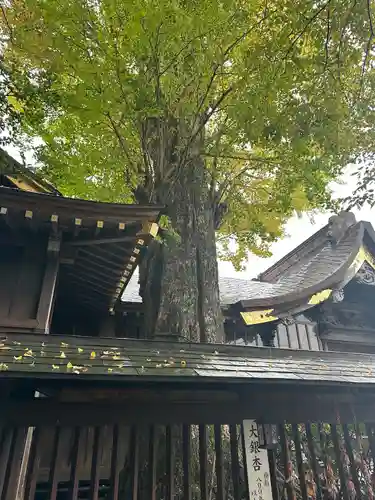 麻賀多神社(千葉県)