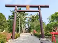 大正神社の{uncategorized: "未分類", other: "その他", undefined: "問題あり", building: "その他建物", grave: "お墓", sacred_gate: "鳥居", guardian: "狛犬", statue: "像", buddha: "仏像", history: "歴史", nature: "自然", garden: "庭園", animal: "動物", pagoda: "塔", temizu: "手水舎", mountain_gate: "山門・神門", sanctuary: "本殿・本堂", subordinate: "末社・摂社", art: "芸術", scenery: "景色", jizo: "地蔵", ema: "絵馬", goshuin: "御朱印", omikuji: "おみくじ", items: "授与品その他", amulet: "お守り", goshuincho: "御朱印帳", eats: "食事", festival: "お祭り", votive_dance: "神楽", shichigosan: "七五三参", wedding: "結婚式", experience: "体験その他", initially: "初詣", around: "周辺", anti_infection: "感染症対策"}
