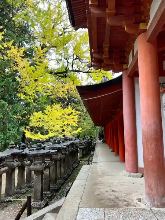 春日大社(奈良県)