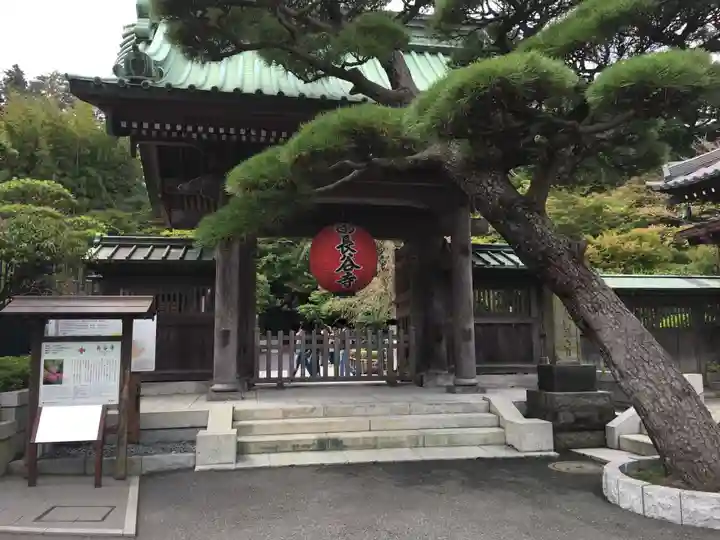 長谷寺の山門・神門