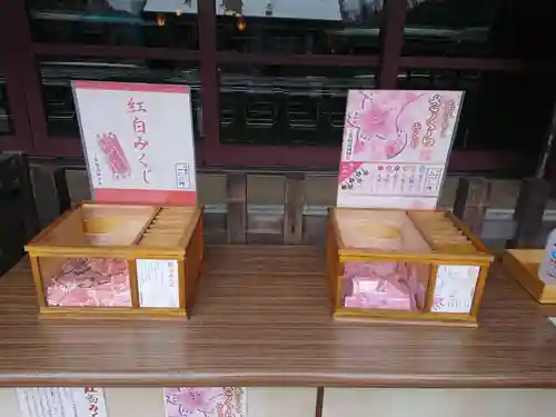 千葉縣護國神社のおみくじ