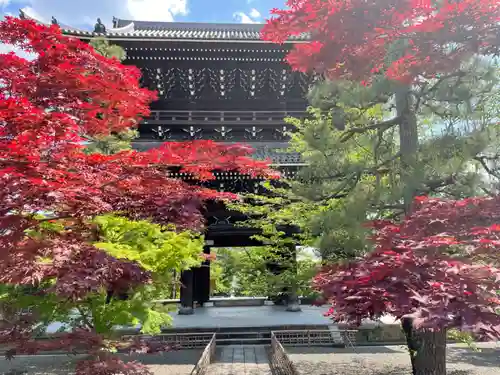 くろ谷 金戒光明寺の山門