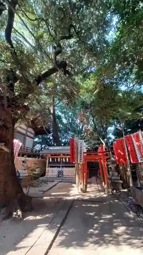 代々木八幡宮(東京都)