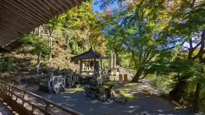 古知谷阿弥陀寺(京都府)