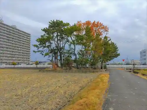 白山社（百島町）の自然