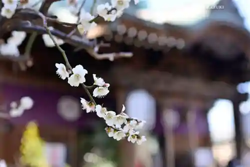 久富稲荷神社の自然