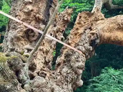 葛見神社(静岡県)