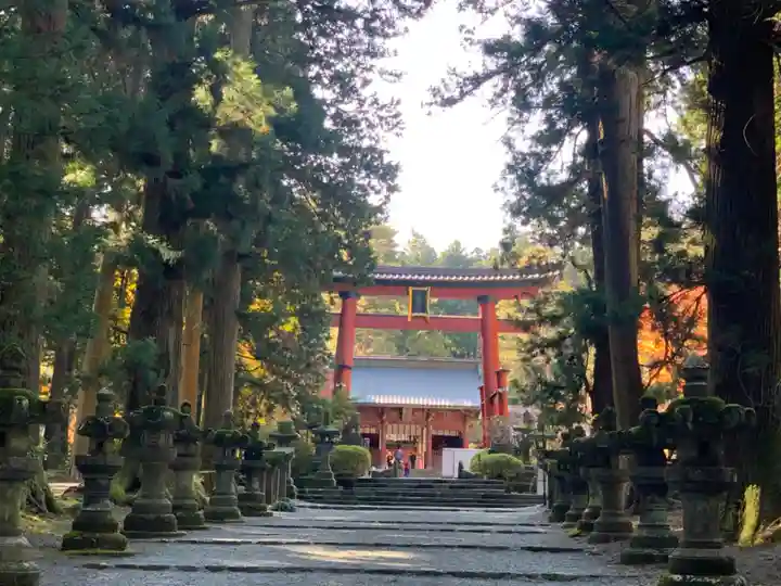 北口本宮冨士浅間神社の鳥居