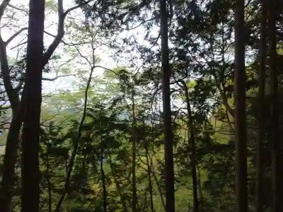 冨士浅間神社(東京都)