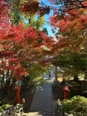 穴八幡宮(東京都)