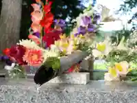 高司神社〜むすびの神の鎮まる社〜(福島県)