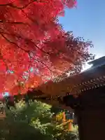 普門寺(切り絵御朱印発祥の寺)(愛知県)