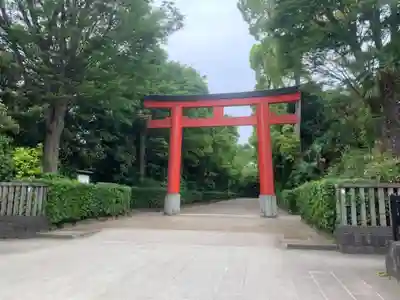 井草八幡宮の鳥居