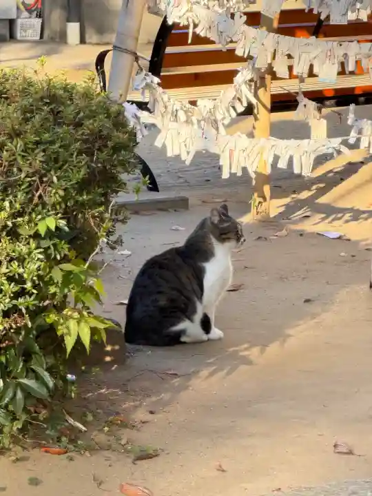 柏諏訪神社(千葉県)