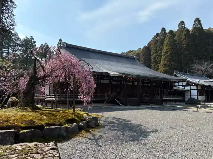 西芳寺の{uncategorized: "未分類", other: "その他", undefined: "問題あり", building: "その他建物", grave: "お墓", sacred_gate: "鳥居", guardian: "狛犬", statue: "像", buddha: "仏像", history: "歴史", nature: "自然", garden: "庭園", animal: "動物", pagoda: "塔", temizu: "手水舎", mountain_gate: "山門・神門", sanctuary: "本殿・本堂", subordinate: "末社・摂社", art: "芸術", scenery: "景色", jizo: "地蔵", ema: "絵馬", goshuin: "御朱印", omikuji: "おみくじ", items: "授与品その他", amulet: "お守り", goshuincho: "御朱印帳", eats: "食事", festival: "お祭り", votive_dance: "神楽", shichigosan: "七五三参", wedding: "結婚式", experience: "体験その他", initially: "初詣", around: "周辺", anti_infection: "感染症対策"}