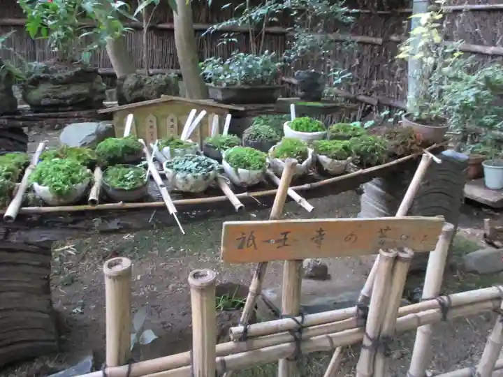 祇王寺(京都府)