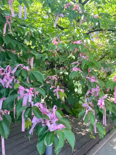 桜神宮(東京都)