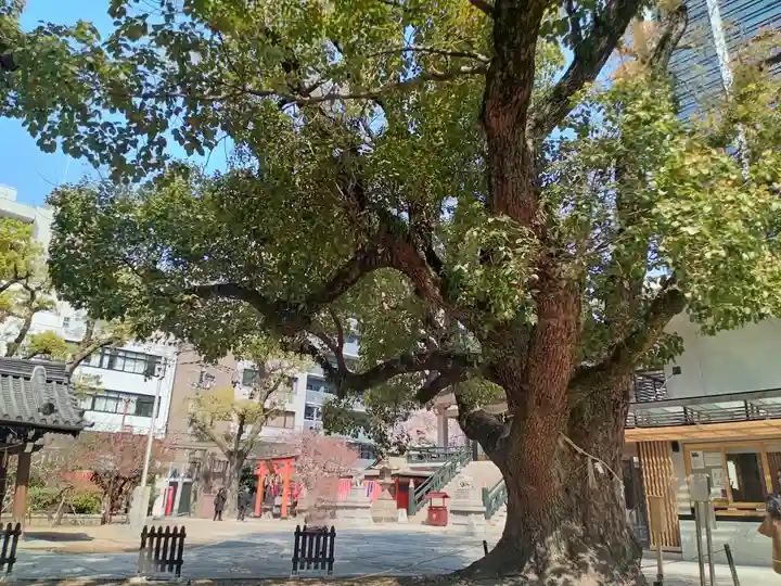 難波神社(大阪府)