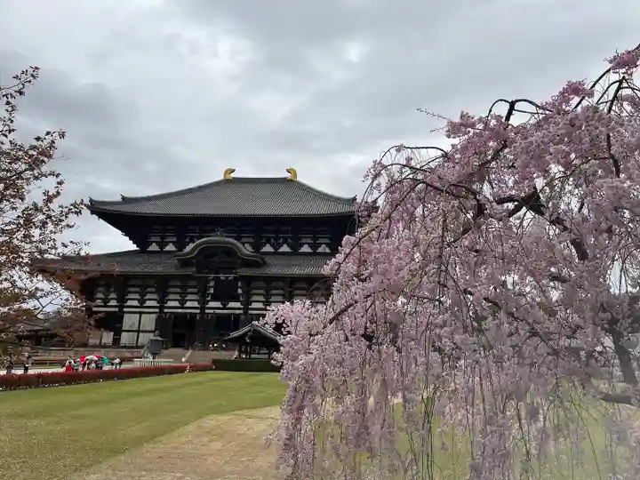 東大寺(奈良県)