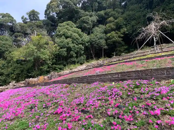 普門寺(切り絵御朱印発祥の寺)(愛知県)