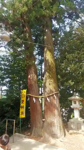 聖神社の自然