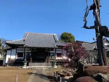 円乗院の本殿・本堂