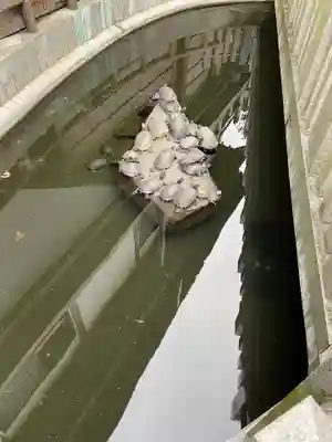 成田山川越別院のその他建物