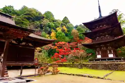 西明寺(滋賀県)