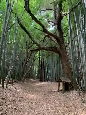 三社神社(千葉県)