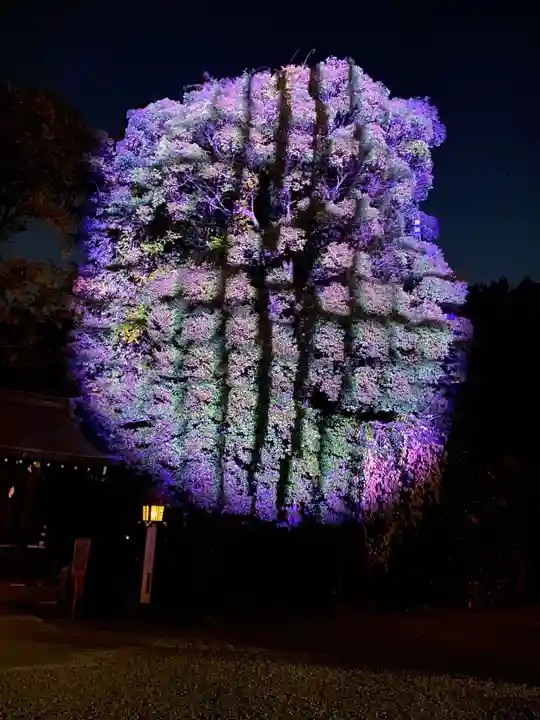 武蔵一宮氷川神社(埼玉県)