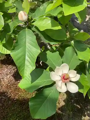 慈光院（曼陀羅寺塔頭）(愛知県)