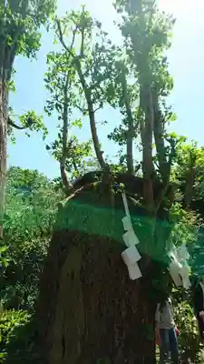 江島神社のその他建物