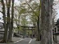 金峯神社の{uncategorized: "未分類", other: "その他", undefined: "問題あり", building: "その他建物", grave: "お墓", sacred_gate: "鳥居", guardian: "狛犬", statue: "像", buddha: "仏像", history: "歴史", nature: "自然", garden: "庭園", animal: "動物", pagoda: "塔", temizu: "手水舎", mountain_gate: "山門・神門", sanctuary: "本殿・本堂", subordinate: "末社・摂社", art: "芸術", scenery: "景色", jizo: "地蔵", ema: "絵馬", goshuin: "御朱印", omikuji: "おみくじ", items: "授与品その他", amulet: "お守り", goshuincho: "御朱印帳", eats: "食事", festival: "お祭り", votive_dance: "神楽", shichigosan: "七五三参", wedding: "結婚式", experience: "体験その他", initially: "初詣", around: "周辺", anti_infection: "感染症対策"}