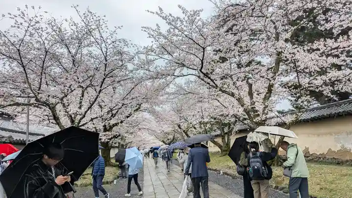 醍醐寺(京都府)