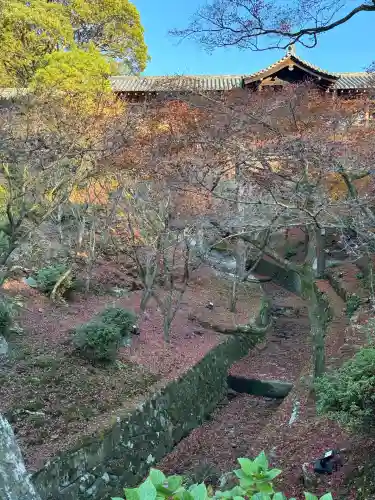 東福禅寺（東福寺）(京都府)