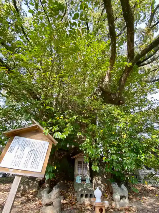 闘鶏神社(和歌山県)