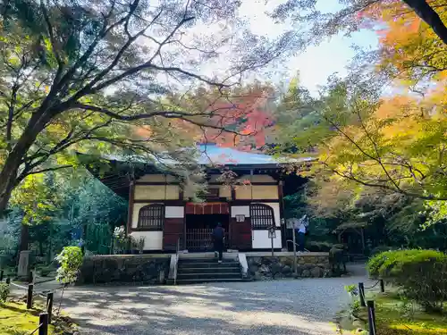 地蔵院(京都府)
