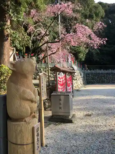 大縣神社の狛犬