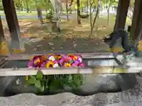 彌彦神社 (伊夜日子神社)の手水舎