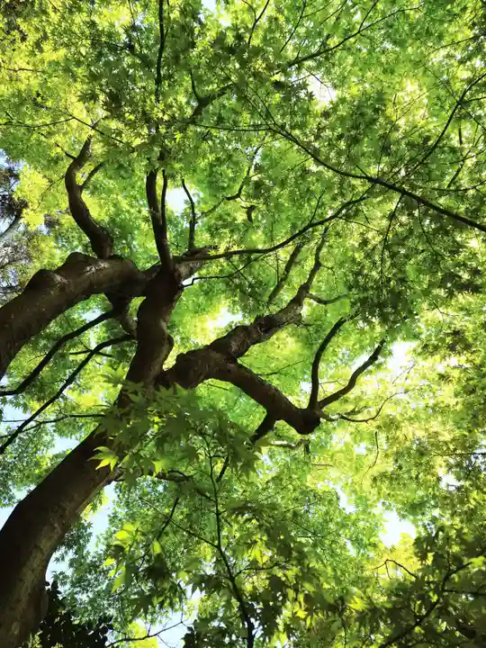 杉本寺(神奈川県)