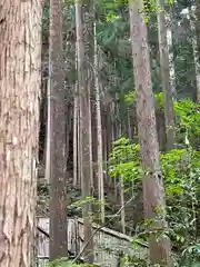 慈照寺（慈照禅寺・銀閣寺）(京都府)