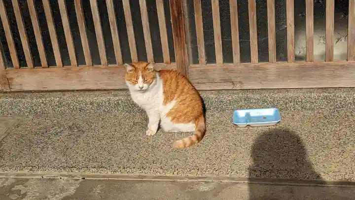 乗願寺(京都府)